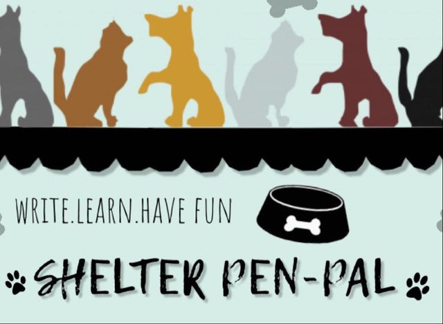 Shelter Pen-Pals